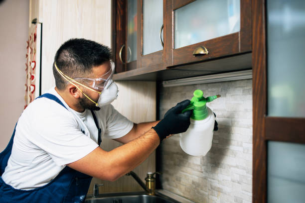 Best Wildlife Control Services  in Island Lake, IL