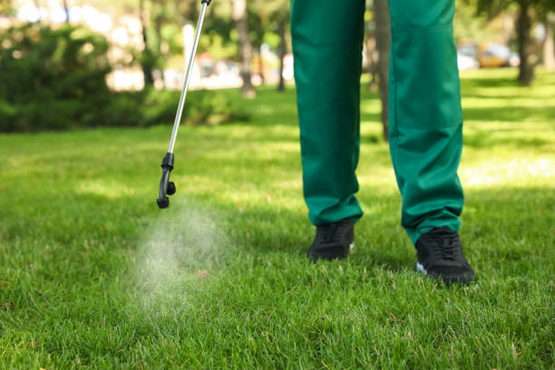 Professional Pest Control in Island Lake, IL