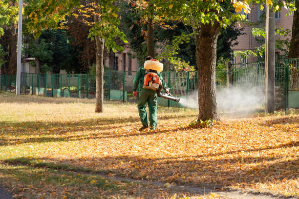 Best Pest Control Cost  in Island Lake, IL